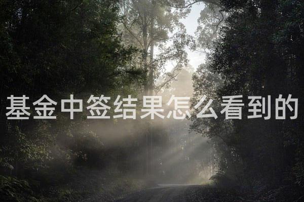 基金中签结果怎么看到的