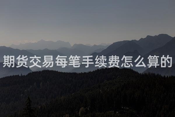 期货交易每笔手续费怎么算的
