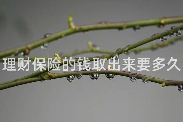 理财保险的钱取出来要多久