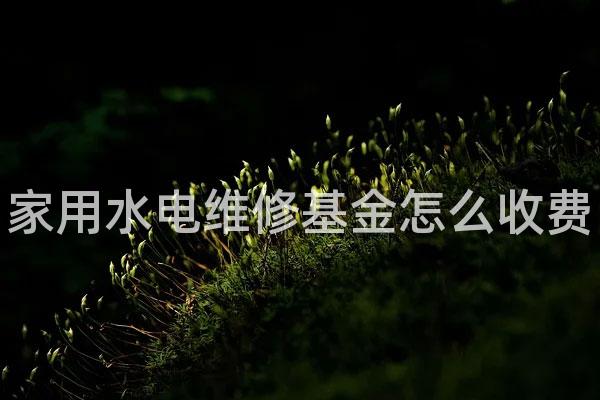 家用水电维修基金怎么收费