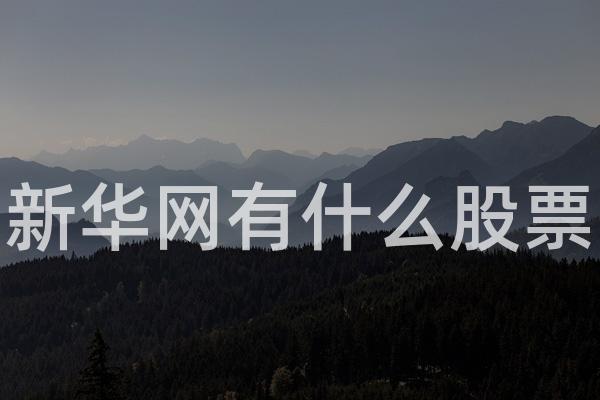 新华网有什么股票