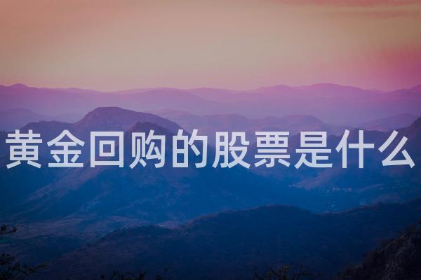黄金回购的股票是什么