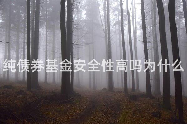 纯债券基金安全性高吗为什么