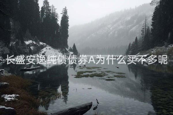 长盛安逸纯债债券A为什么买不多呢