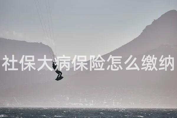 社保大病保险怎么缴纳