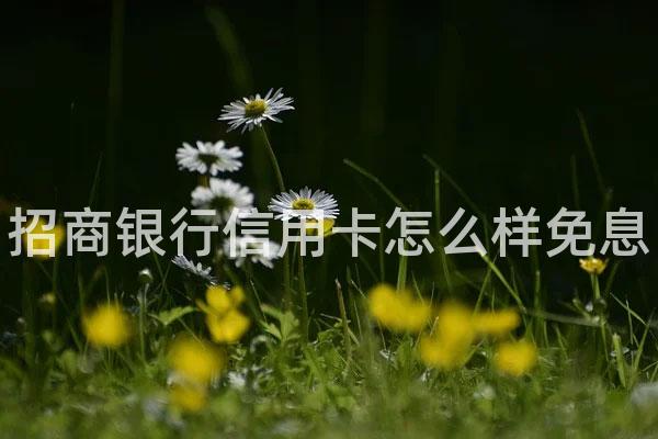 招商银行信用卡怎么样免息