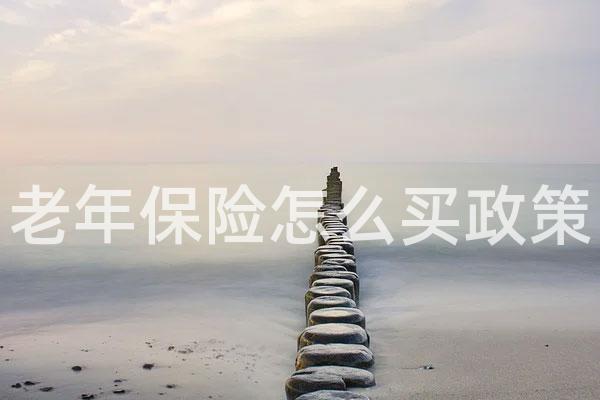 老年保险怎么买政策
