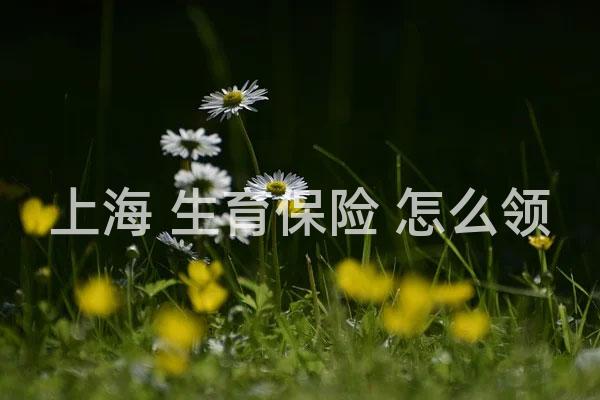 上海 生育保险 怎么领
