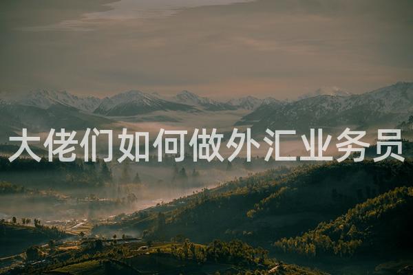 大佬们如何做外汇业务员