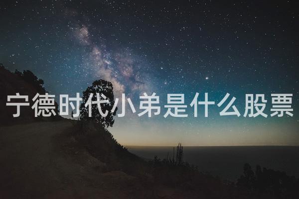 宁德时代小弟是什么股票
