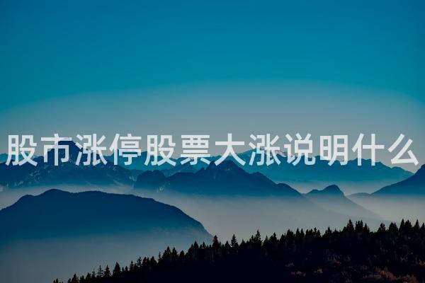 股市涨停股票大涨说明什么