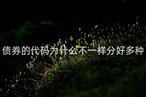 债券的代码为什么不一样分好多种