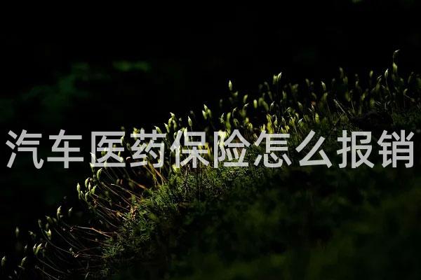 汽车医药保险怎么报销