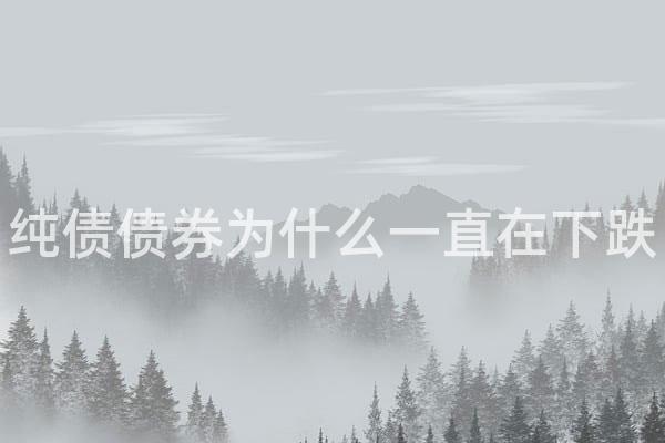 纯债债券为什么一直在下跌