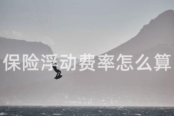 保险浮动费率怎么算