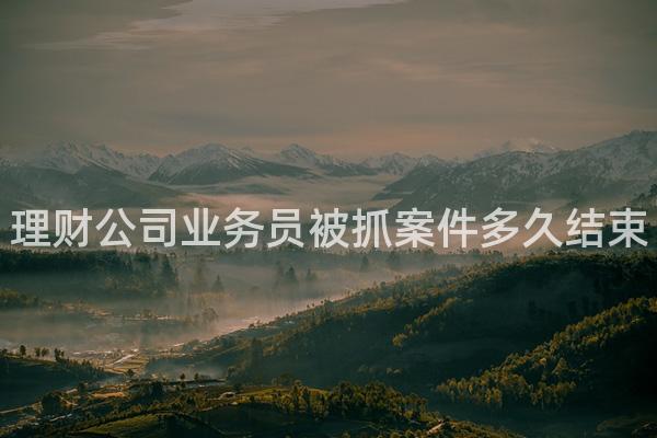 理财公司业务员被抓案件多久结束
