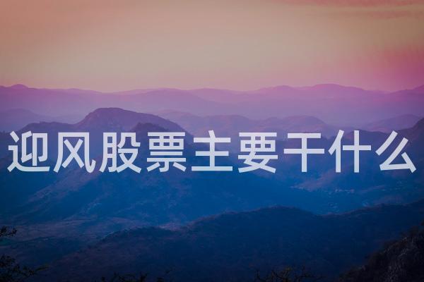 迎风股票主要干什么