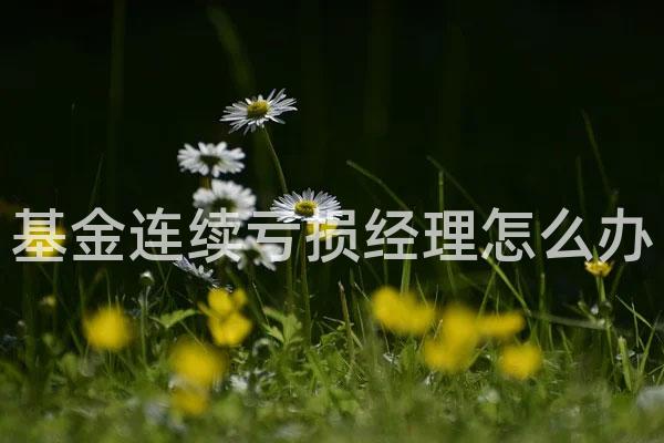 基金连续亏损经理怎么办