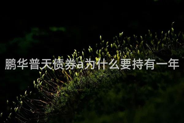 鹏华普天债券a为什么要持有一年