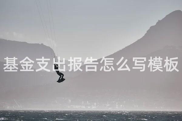 基金支出报告怎么写模板