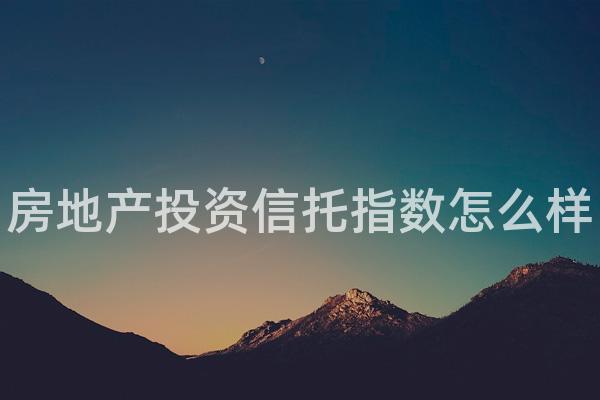 房地产投资信托指数怎么样