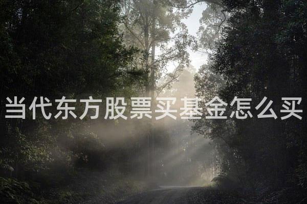当代东方股票买基金怎么买