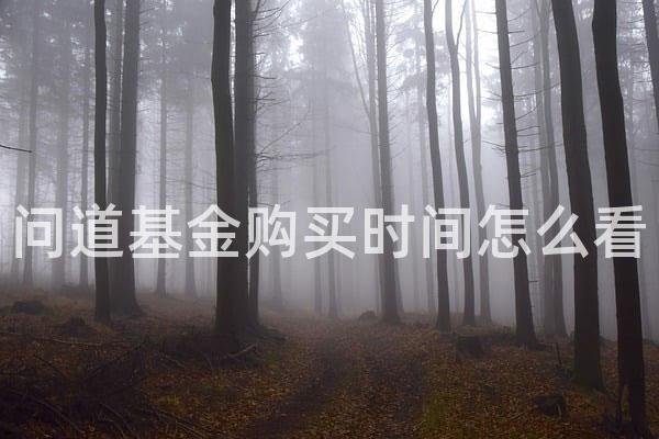 问道基金购买时间怎么看