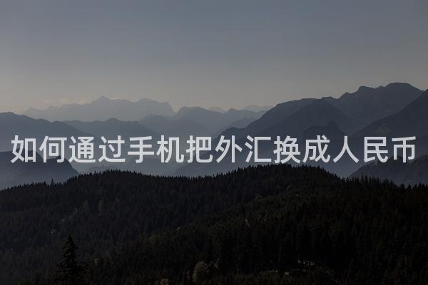 如何通过手机把外汇换成人民币