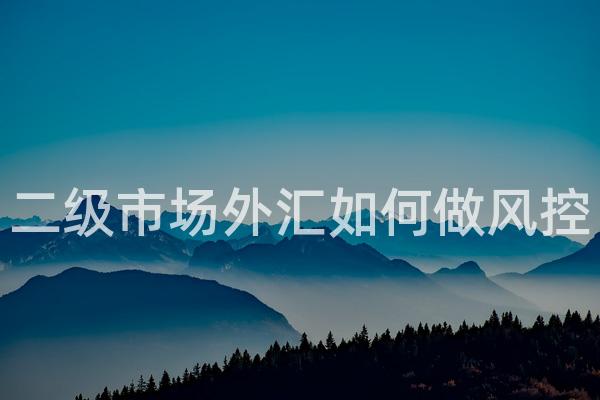 二级市场外汇如何做风控