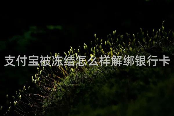 支付宝被冻结怎么样解绑银行卡