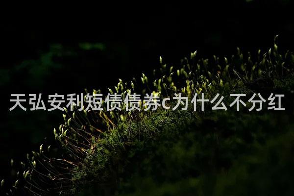 天弘安利短债债券c为什么不分红