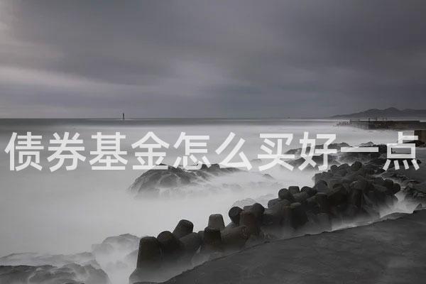 债券基金怎么买好一点