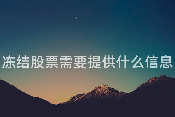 冻结股票需要提供什么信息