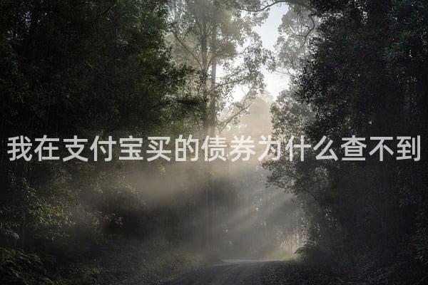 我在支付宝买的债券为什么查不到