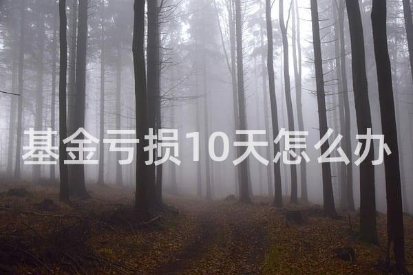 基金亏损10天怎么办