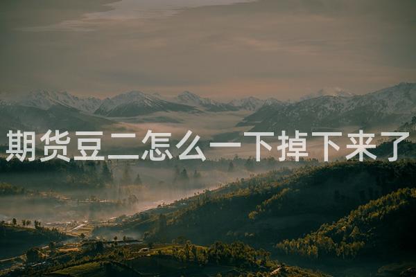 期货豆二怎么一下掉下来了