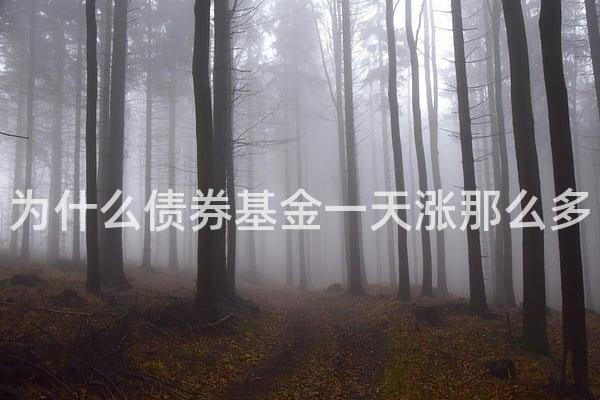 为什么债券基金一天涨那么多