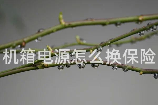 机箱电源怎么换保险