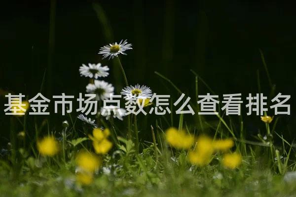基金市场点数怎么查看排名