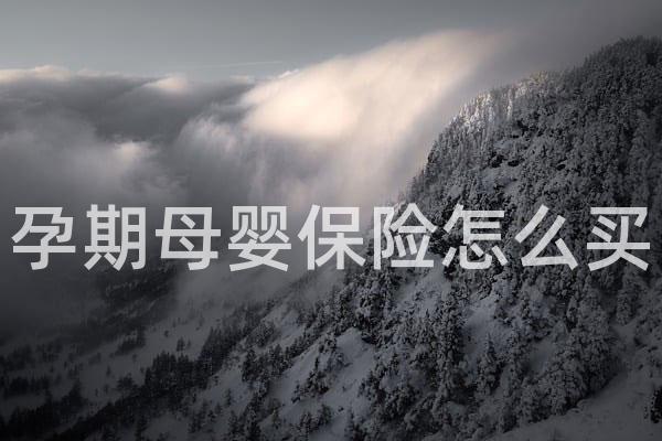 孕期母婴保险怎么买
