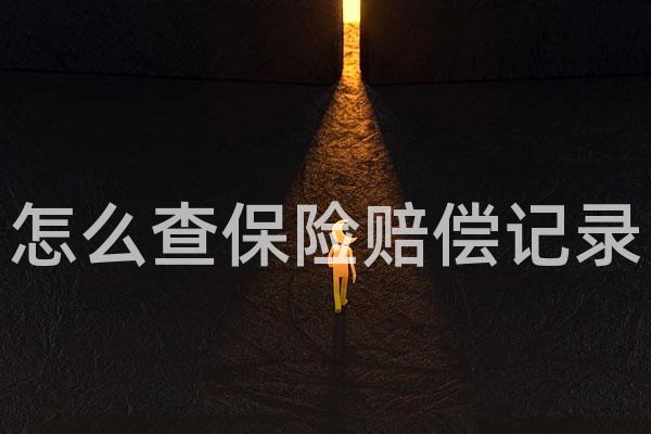 怎么查保险赔偿记录