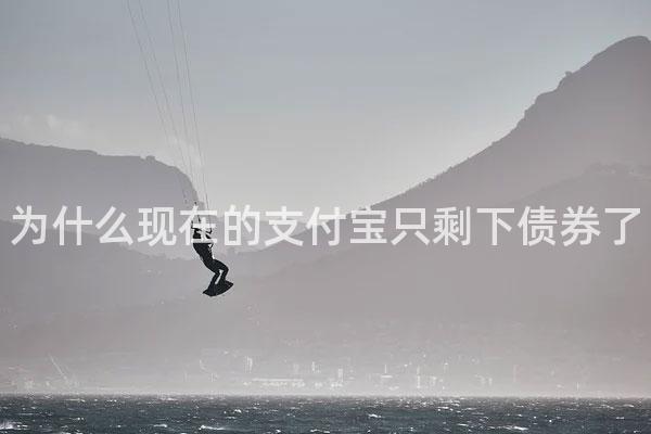 为什么现在的支付宝只剩下债券了