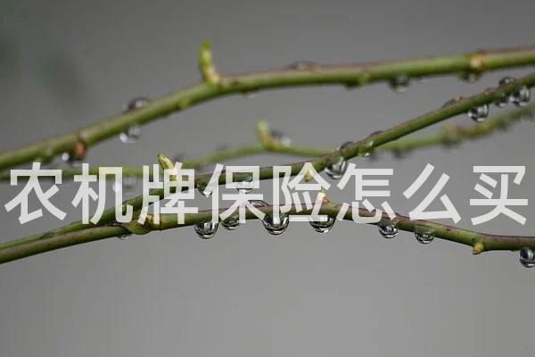 农机牌保险怎么买