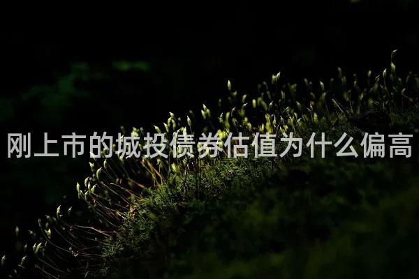 刚上市的城投债券估值为什么偏高