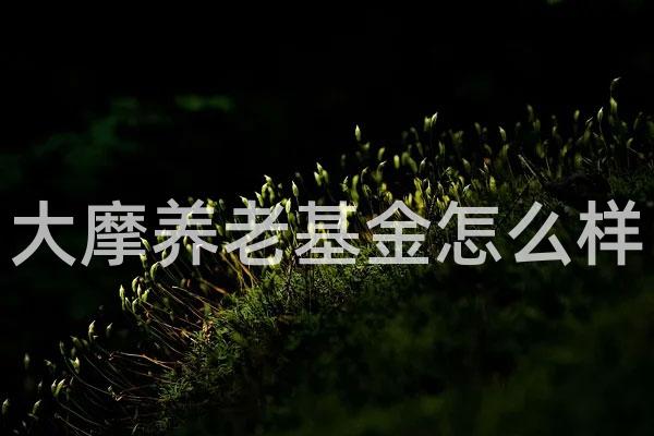 大摩养老基金怎么样