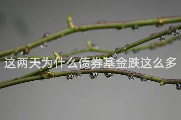 这两天为什么债券基金跌这么多