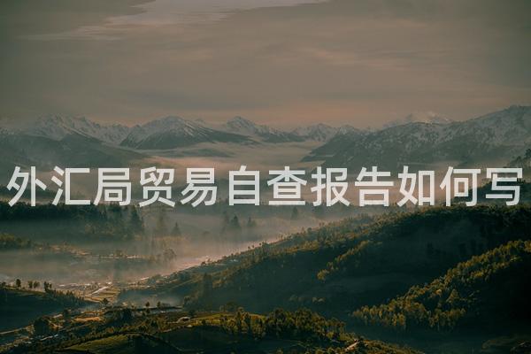 外汇局贸易自查报告如何写