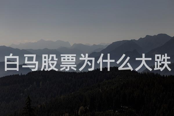 白马股票为什么大跌