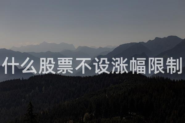 什么股票不设涨幅限制