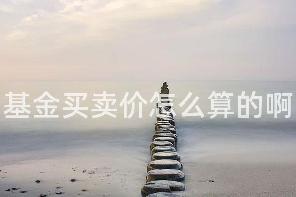 基金买卖价怎么算的啊